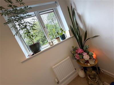 Picture 27
